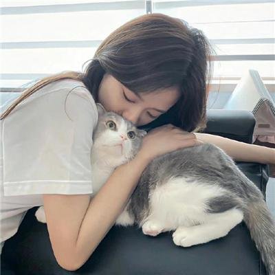 史第科