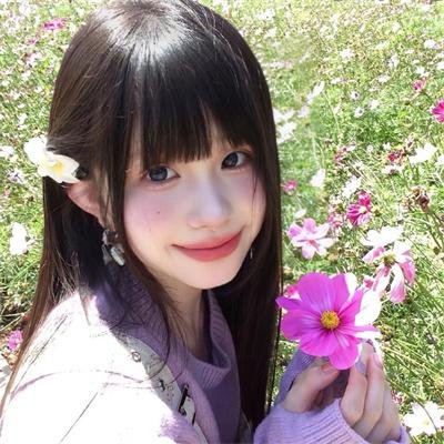 紫苑草